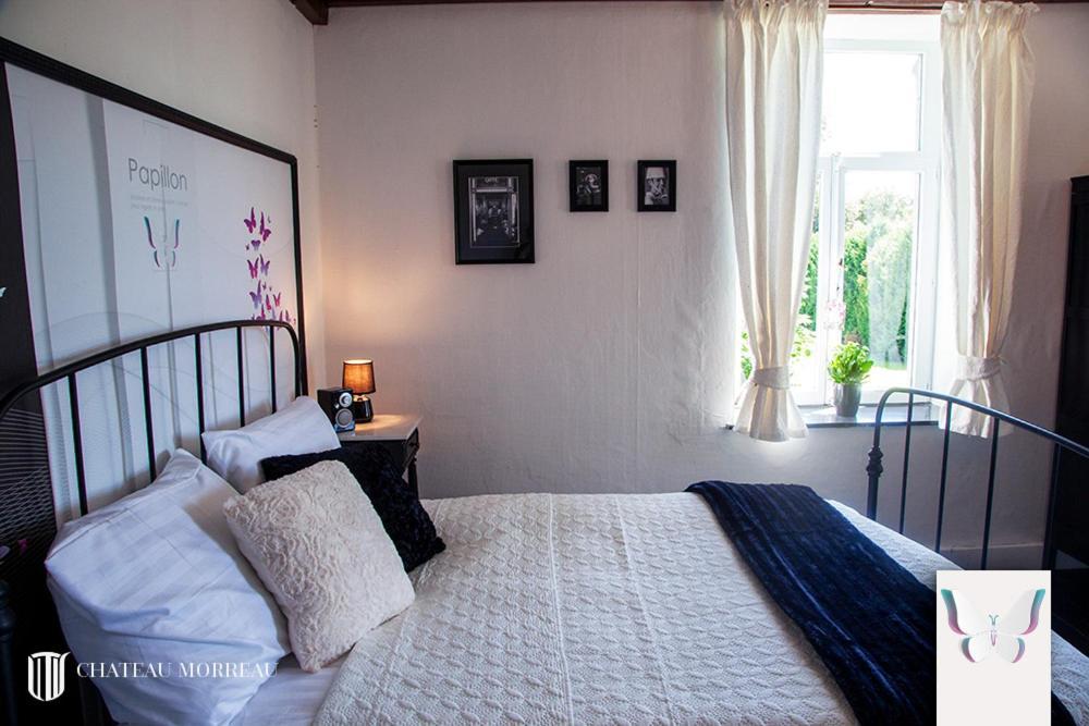 La Maison Des Papillon Daverdisse Экстерьер фото